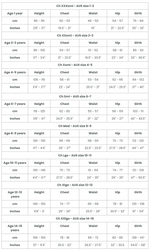 Load image into Gallery viewer, Energetiks Ava Crop Top
